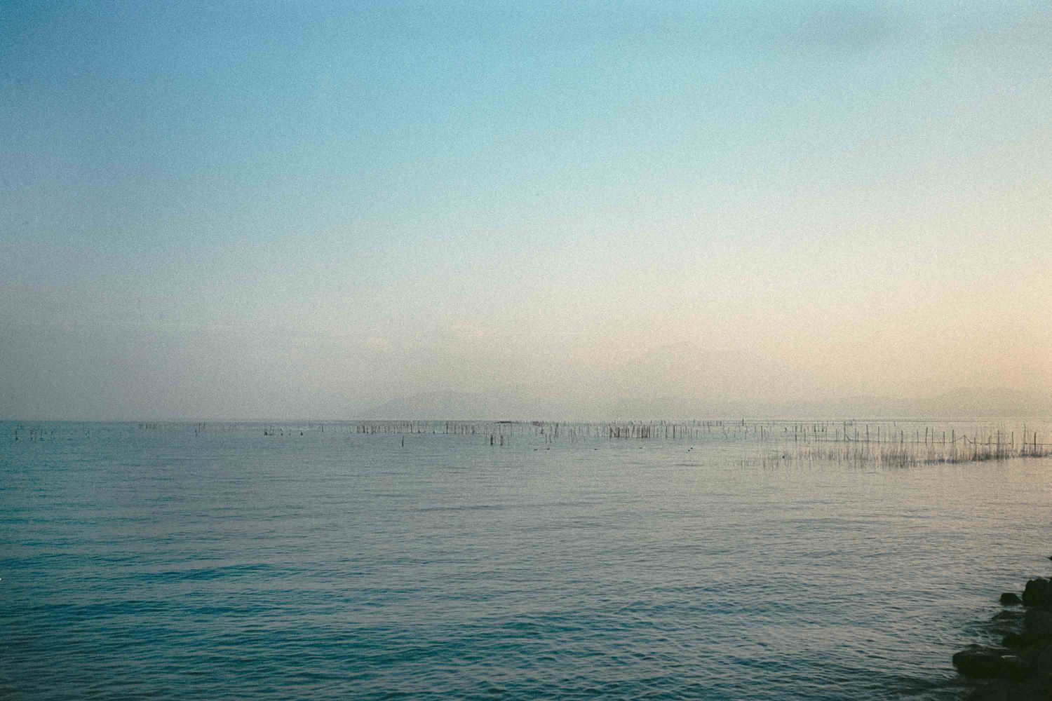 Endless Summer