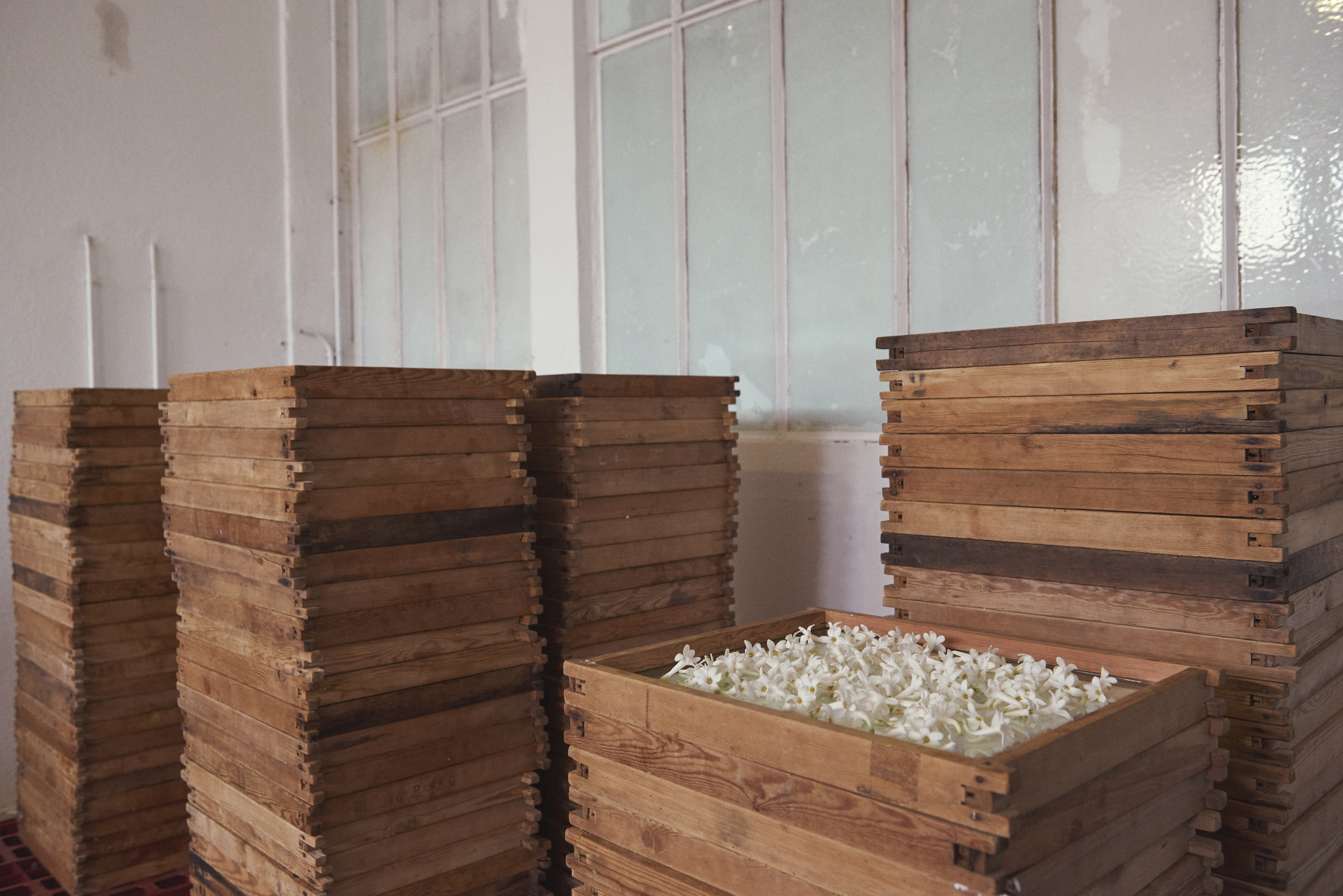 Enfleurage Cyril Gourdin Photo photography art fashion mode France Paris RLLNGR rllngr design 