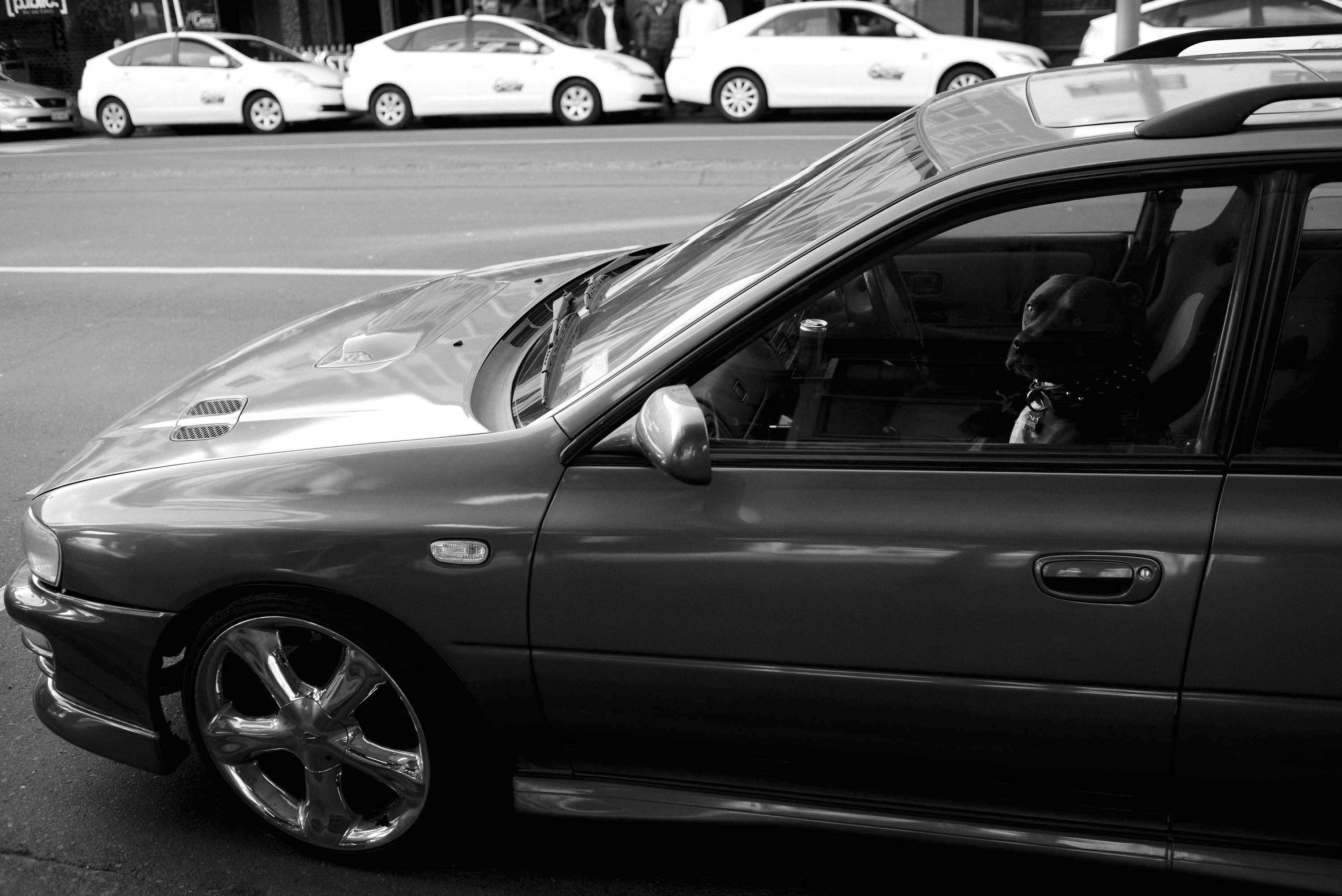 New Zealand Cyril Gourdin Photo photography art fashion mode France Paris RLLNGR rllngr design 