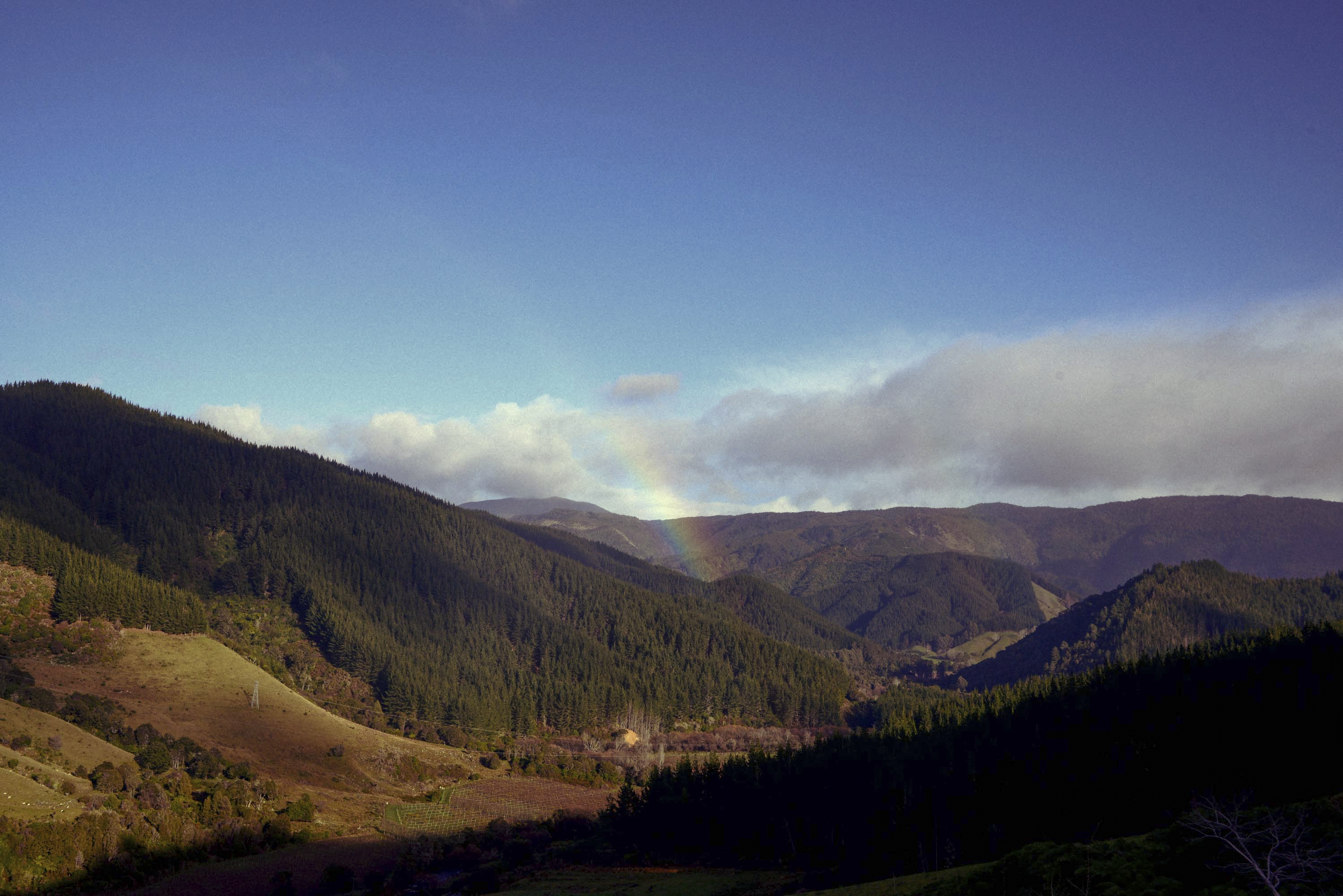 New Zealand Cyril Gourdin Photo photography art fashion mode France Paris RLLNGR rllngr design 