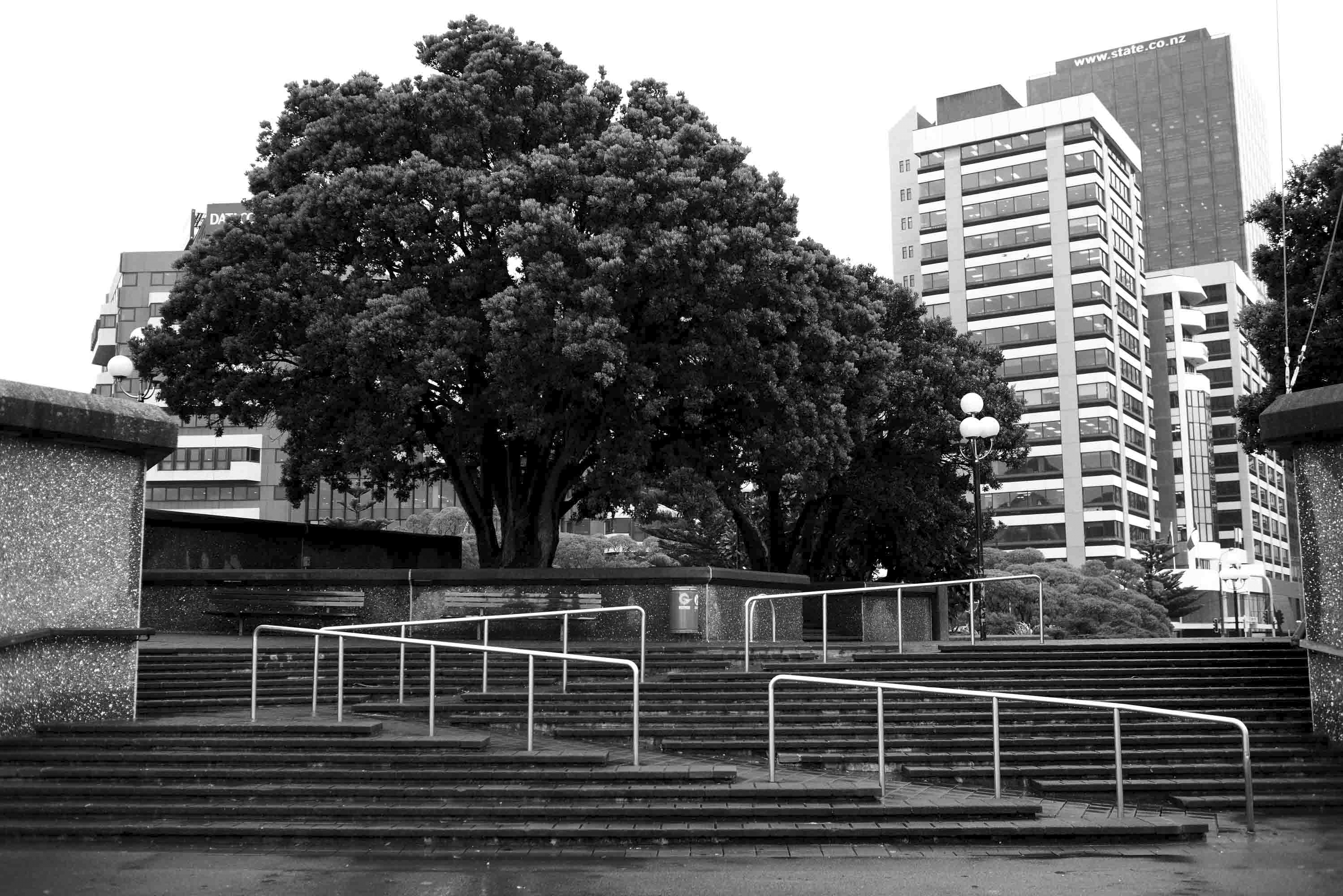 New Zealand Cyril Gourdin Photo photography art fashion mode France Paris RLLNGR rllngr design 