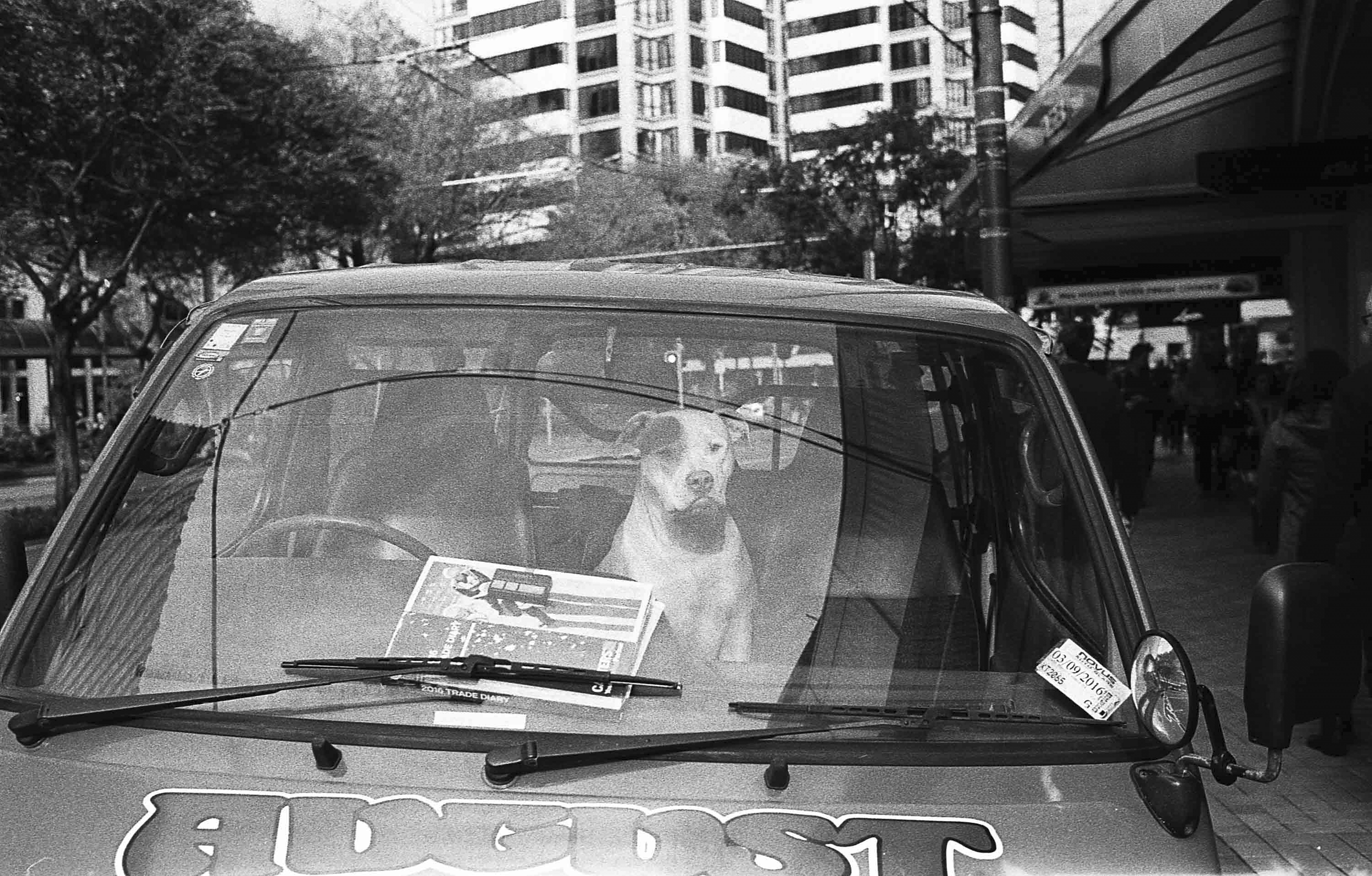 New Zealand Cyril Gourdin Photo photography art fashion mode France Paris RLLNGR rllngr design 